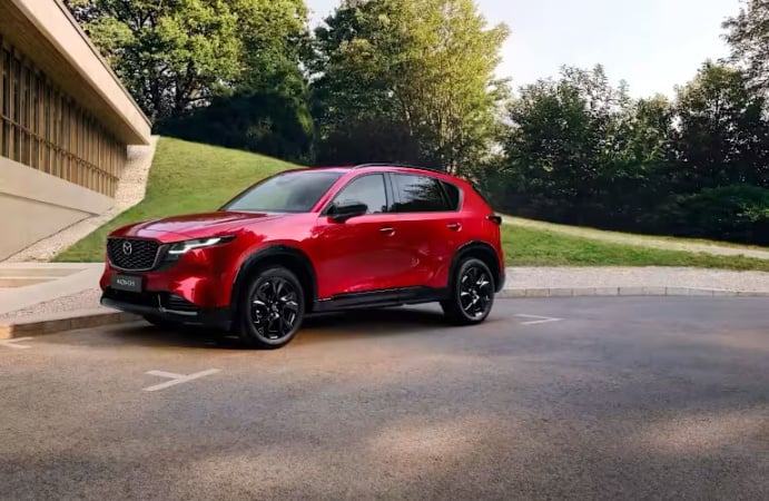 Приватні покупці скоротили купівлю нових авто на 29%, бізнес — наростив на 7%