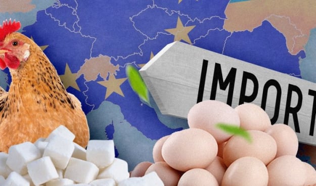 Українська агропродукція в ЄС: квоти вичерпуються швидше, ніж минає рік