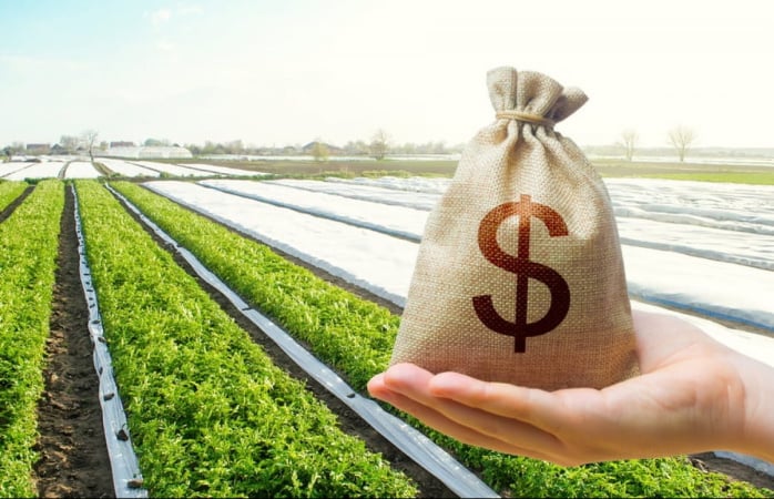 Продаж землі після спадщини: коли ПДФО та військовий збір не стягуються