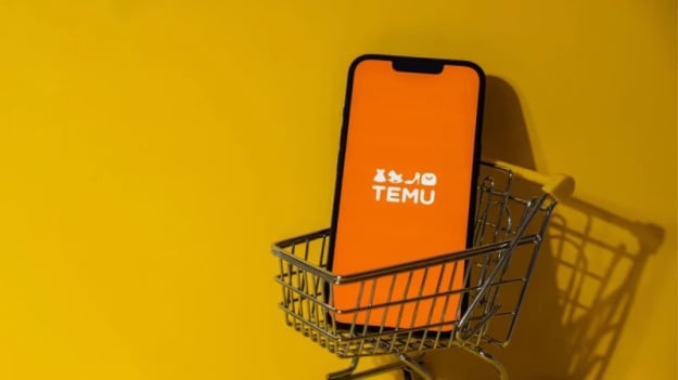 Удар по Temu та AliExpress: ЄС запровадив мито в розмірі 3 євро на дешеві посилки