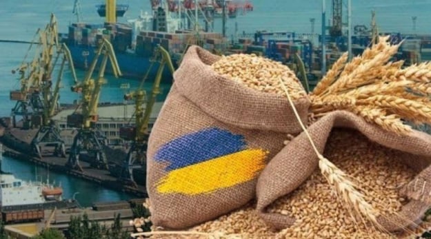 Зупинка портів б'є не лише по зерну, а є загрозою для всієї економіки — Ірина Коссе