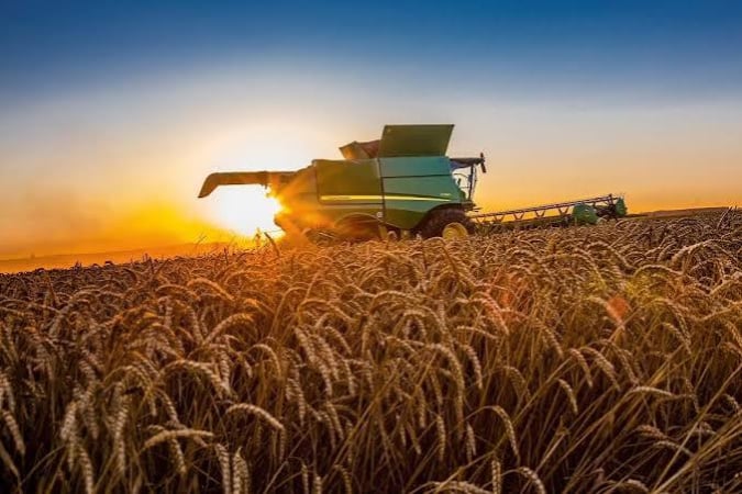 Сільське господарство в мінусі: виробництво знизилося на 1,6%