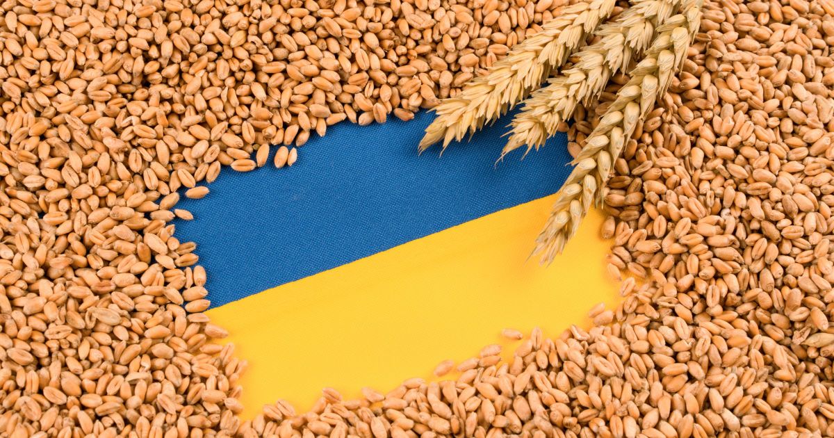 Польща ввела нове обмеження для зерна з України: хто постраждає найбільше